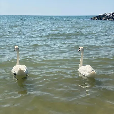 жемчужина у моря Odesa